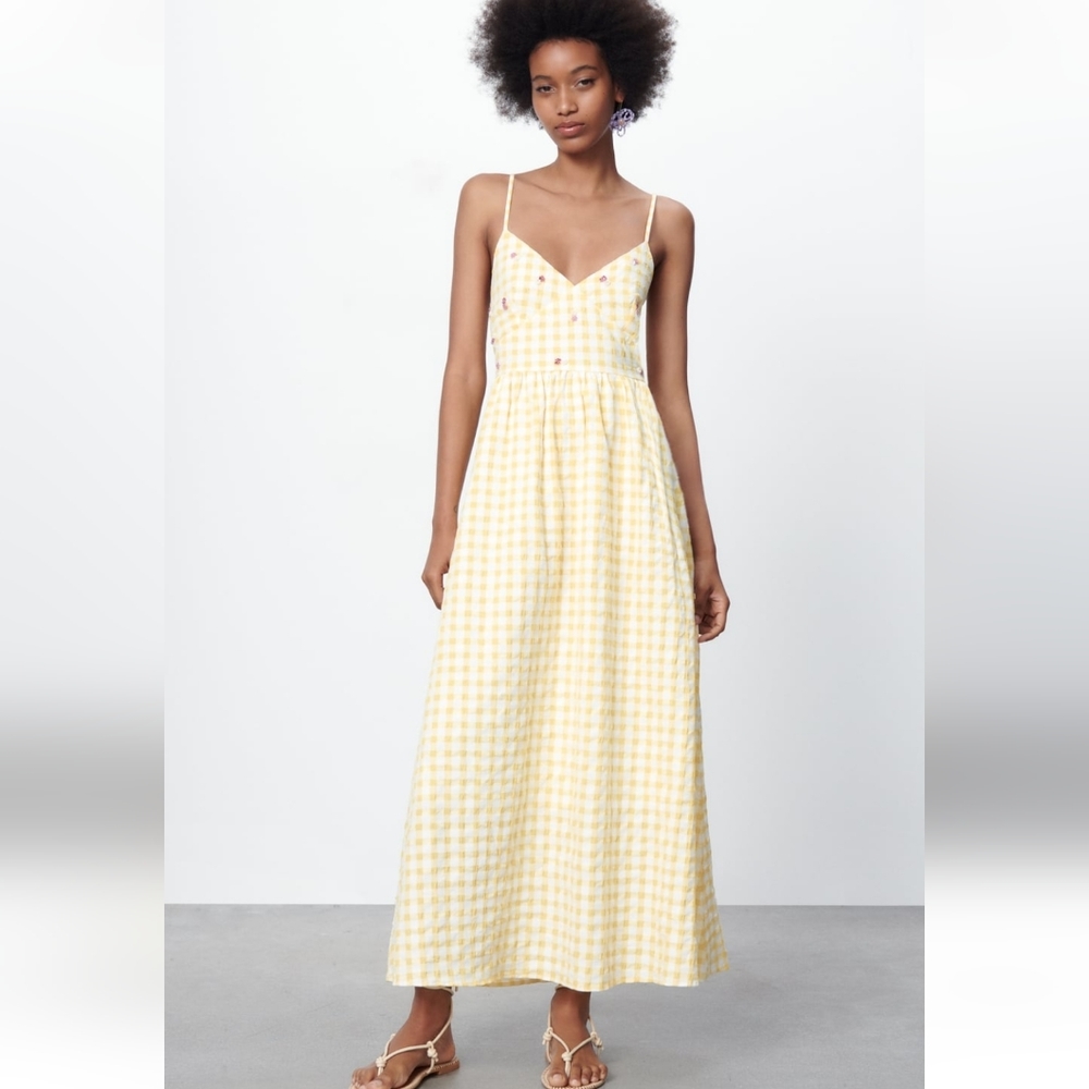 BNWT! Zara Gingham print dress